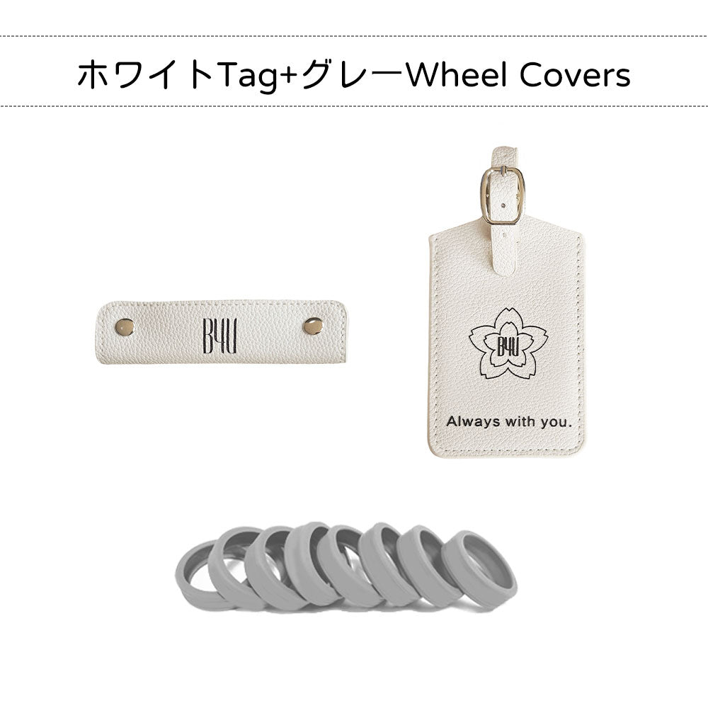 スーツケース付属品 カラー選択ページ