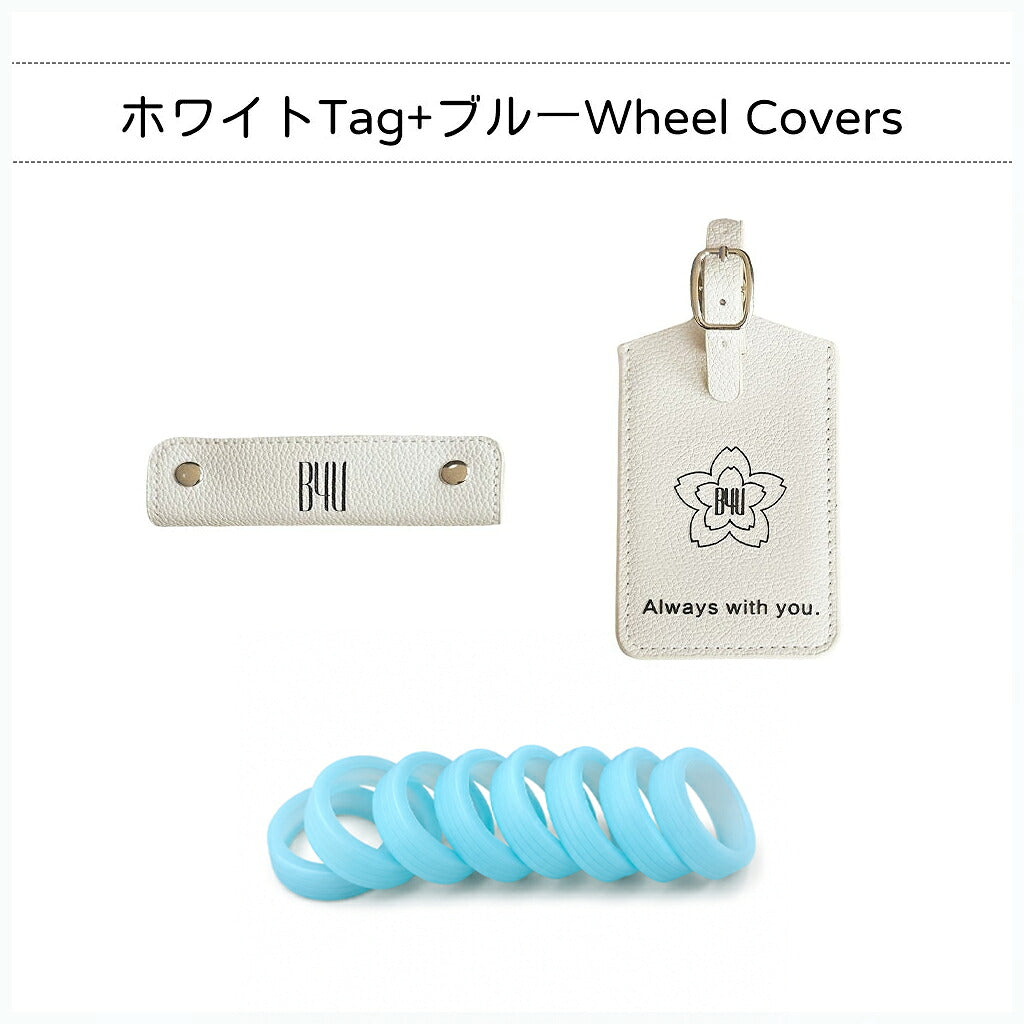 スーツケース付属品 カラー選択ページ